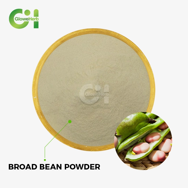 Broad bean powder Broad bean powder